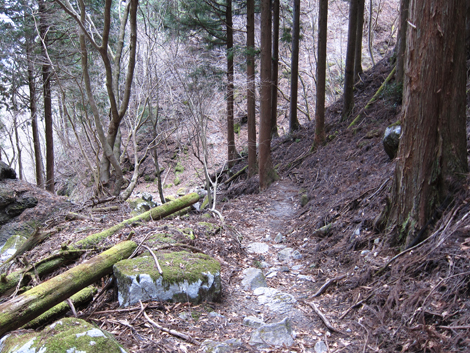 20200110hike (303)